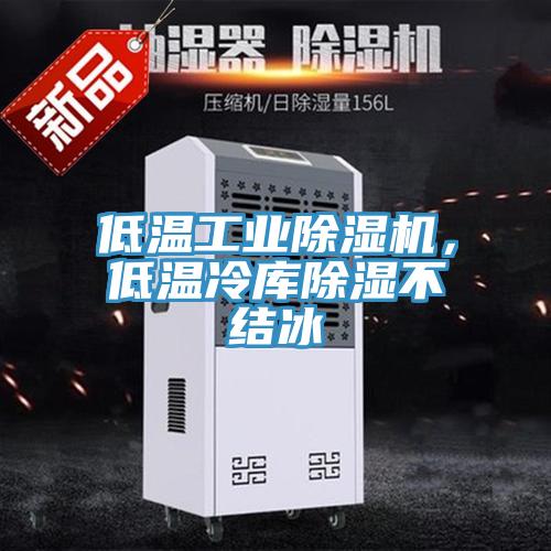 低溫工業(yè)除濕機(jī)，低溫冷庫除濕不結(jié)冰