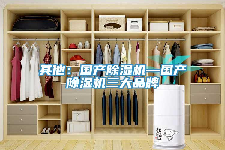 其他：國(guó)產(chǎn)除濕機(jī)—國(guó)產(chǎn)除濕機(jī)三大品牌