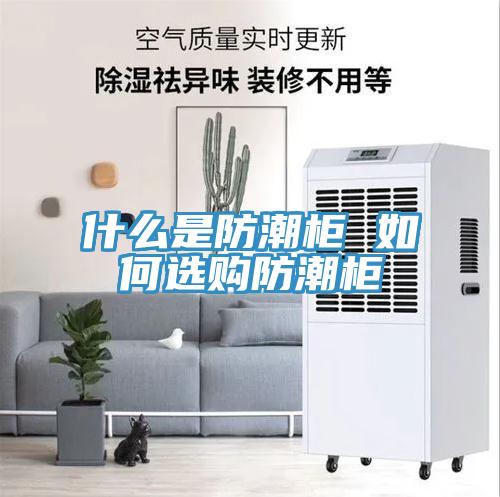什么是防潮柜 如何選購(gòu)防潮柜