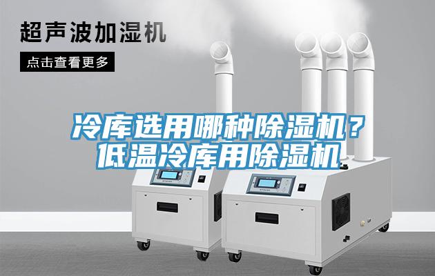 冷庫選用哪種除濕機(jī)？低溫冷庫用除濕機(jī)