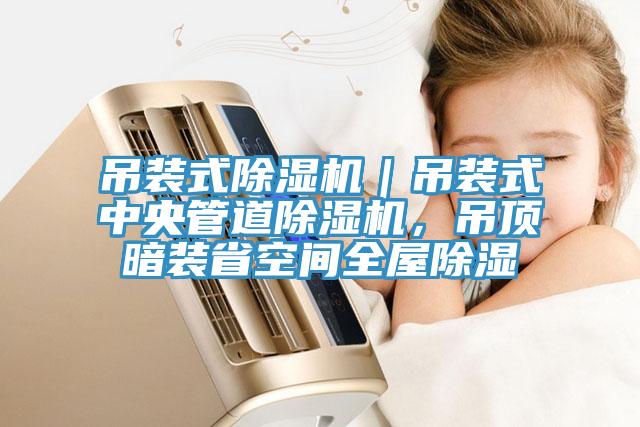 吊裝式除濕機(jī)｜吊裝式中央管道除濕機(jī)，吊頂暗裝省空間全屋除濕