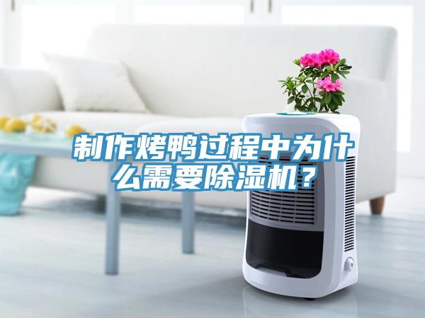 制作烤鴨過程中為什么需要除濕機(jī)？