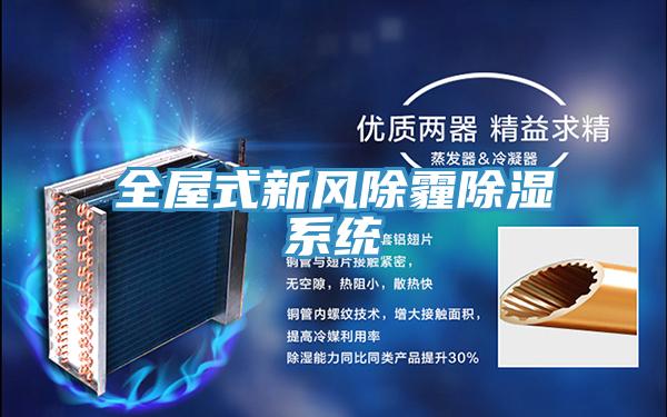 全屋式新風除霾除濕系統(tǒng)