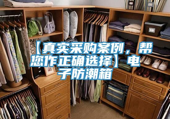 【真實(shí)采購(gòu)案例，幫您作正確選擇】電子防潮箱