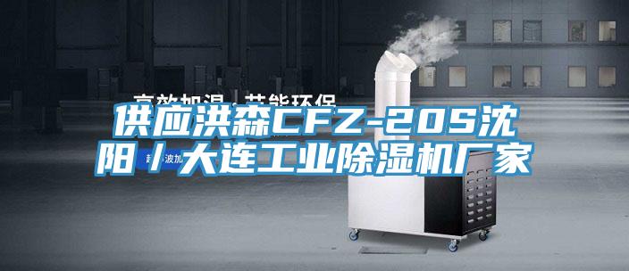 供應(yīng)洪森CFZ-20S沈陽／大連工業(yè)除濕機(jī)廠家