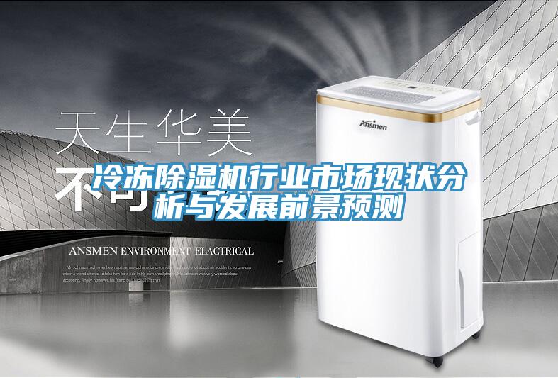 冷凍除濕機(jī)行業(yè)市場現(xiàn)狀分析與發(fā)展前景預(yù)測