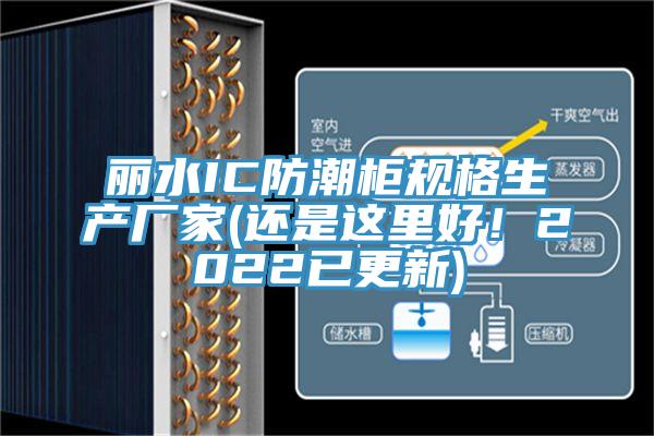 麗水IC防潮柜規(guī)格生產(chǎn)廠(chǎng)家(還是這里好！2022已更新)