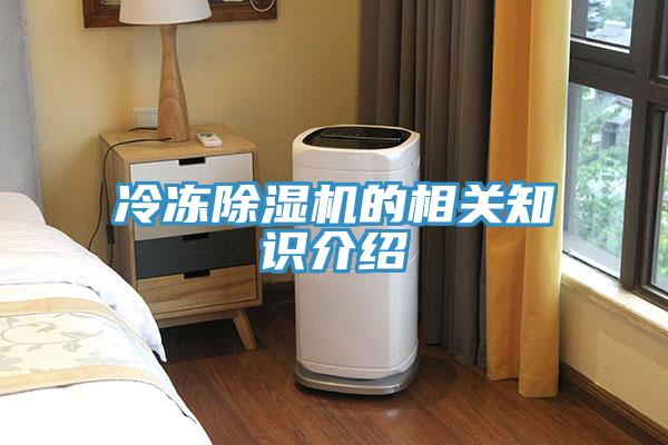 冷凍除濕機(jī)的相關(guān)知識(shí)介紹