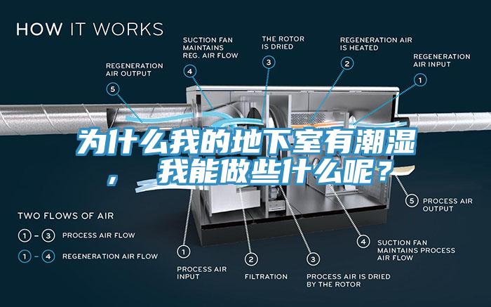為什么我的地下室有潮濕， 我能做些什么呢？
