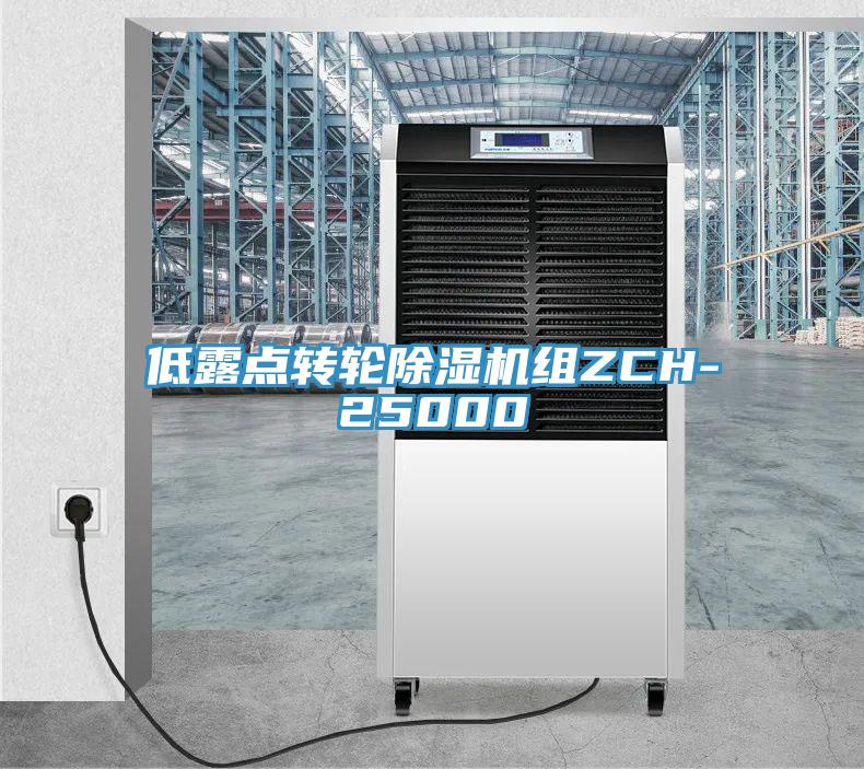 低露點(diǎn)轉(zhuǎn)輪除濕機(jī)組ZCH-25000
