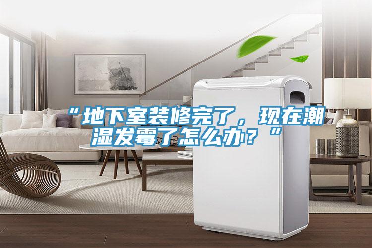 “地下室裝修完了，現(xiàn)在潮濕發(fā)霉了怎么辦？”