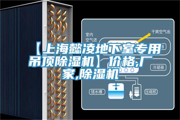【上海懿凌地下室專用吊頂除濕機(jī)】價格,廠家,除濕機(jī)