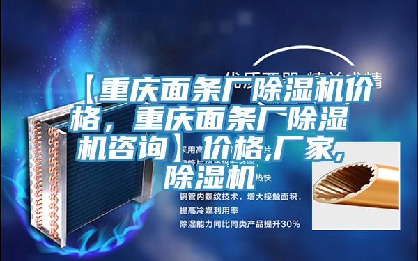 【重慶面條廠除濕機(jī)價(jià)格，重慶面條廠除濕機(jī)咨詢】價(jià)格,廠家,除濕機(jī)