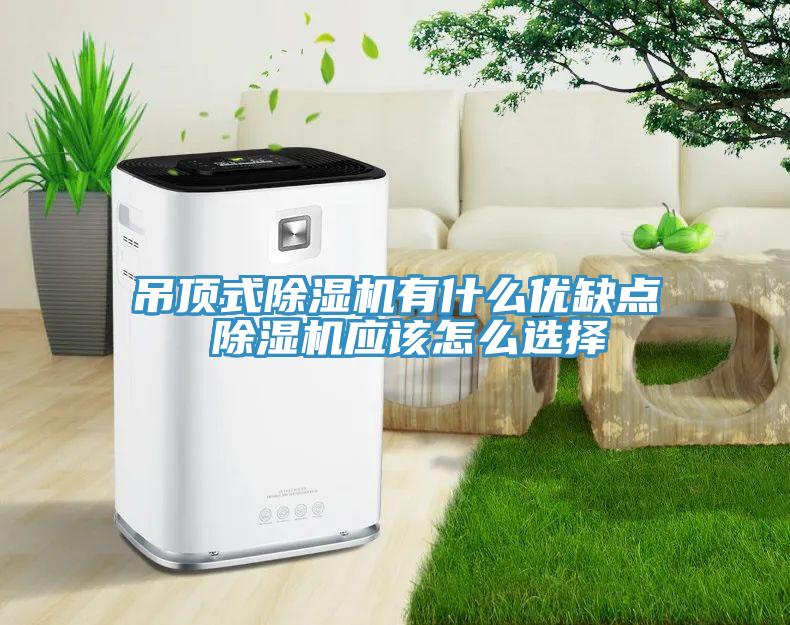 吊頂式除濕機(jī)有什么優(yōu)缺點(diǎn) 除濕機(jī)應(yīng)該怎么選擇