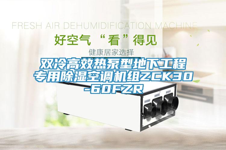 雙冷高效熱泵型地下工程專用除濕空調(diào)機(jī)組ZCK30-60FZR