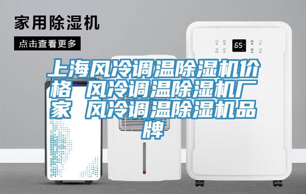 上海風(fēng)冷調(diào)溫除濕機(jī)價(jià)格 風(fēng)冷調(diào)溫除濕機(jī)廠家 風(fēng)冷調(diào)溫除濕機(jī)品牌