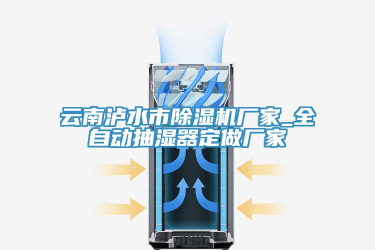 云南瀘水市除濕機廠家_全自動抽濕器定做廠家
