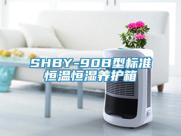 SHBY-90B型標準恒溫恒濕養(yǎng)護箱