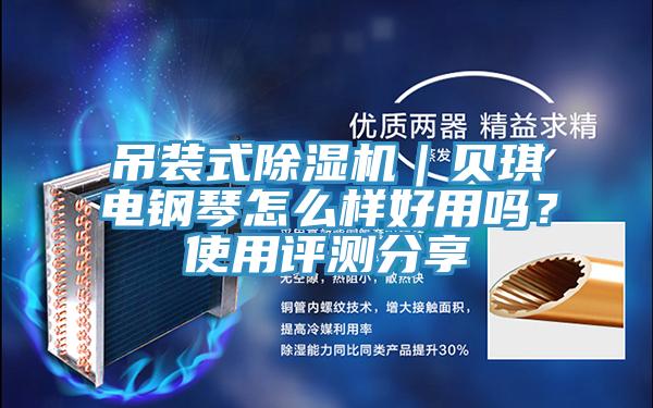 吊裝式除濕機(jī)｜貝琪電鋼琴怎么樣好用嗎？使用評測分享