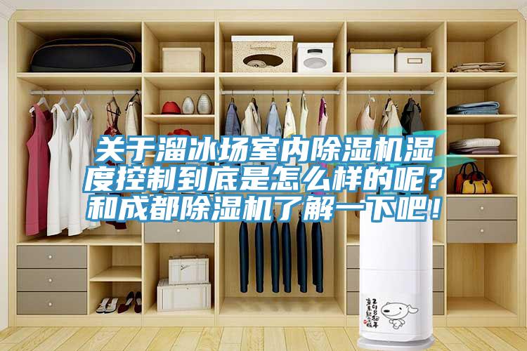 關于溜冰場室內除濕機濕度控制到底是怎么樣的呢？和成都除濕機了解一下吧！