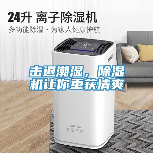 擊退潮濕，除濕機讓你重獲清爽