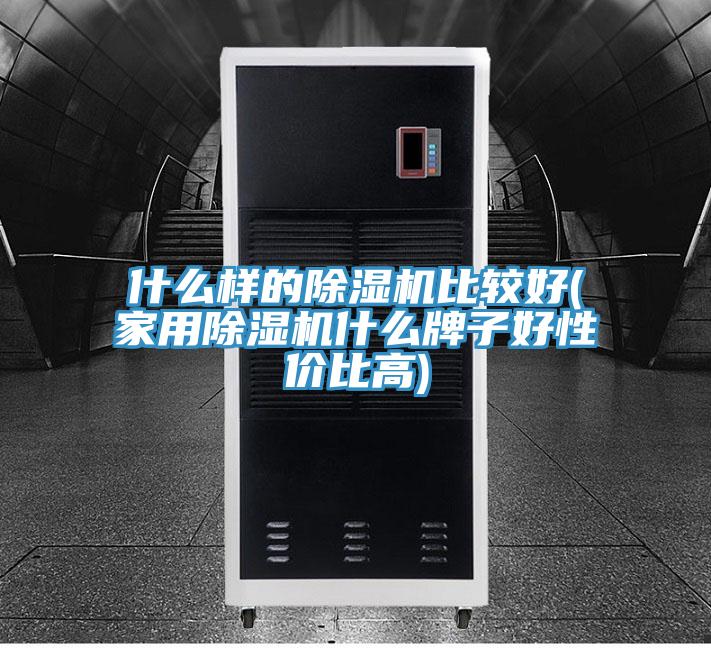 什么樣的除濕機(jī)比較好(家用除濕機(jī)什么牌子好性價(jià)比高)