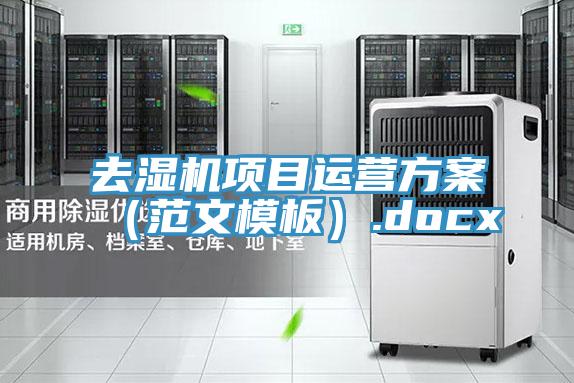 去濕機(jī)項(xiàng)目運(yùn)營(yíng)方案（范文模板）.docx