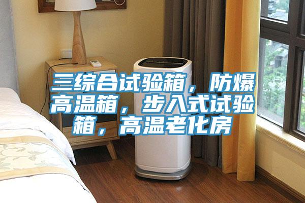 三綜合試驗(yàn)箱，防爆高溫箱，步入式試驗(yàn)箱，高溫老化房