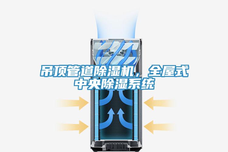 吊頂管道除濕機(jī)，全屋式中央除濕系統(tǒng)