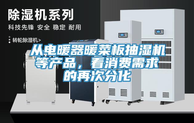 從電暖器暖菜板抽濕機(jī)等產(chǎn)品，看消費(fèi)需求的再次分化