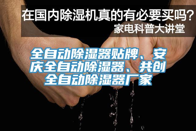 全自動除濕器貼牌、安慶全自動除濕器、共創(chuàng)全自動除濕器廠家