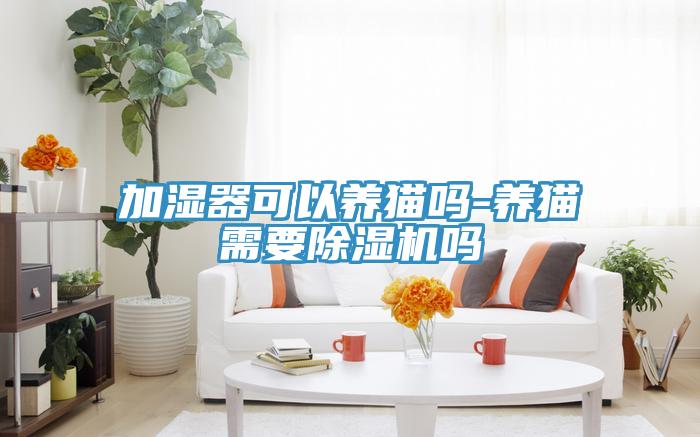 加濕器可以養(yǎng)貓嗎-養(yǎng)貓需要除濕機嗎