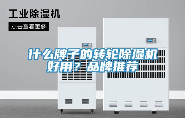 什么牌子的轉(zhuǎn)輪除濕機(jī)好用？品牌推薦