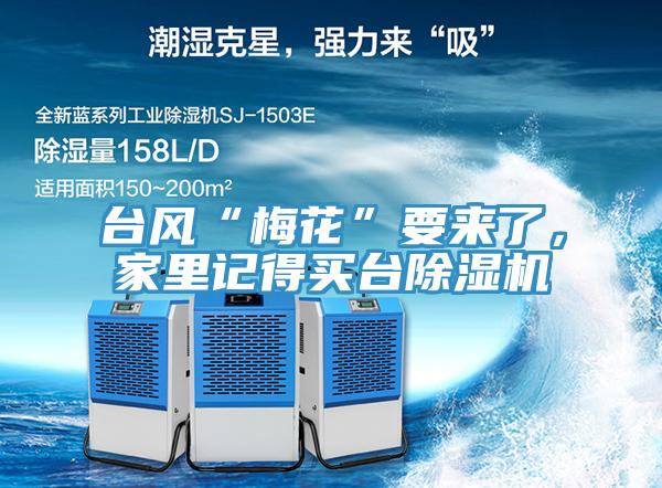 臺風“梅花”要來了，家里記得買臺除濕機