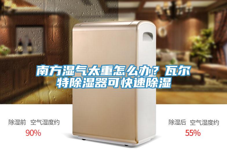 南方濕氣太重怎么辦？瓦爾特除濕器可快速除濕