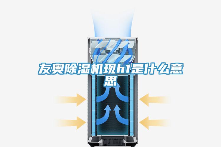 友奧除濕機(jī)現(xiàn)h1是什么意思