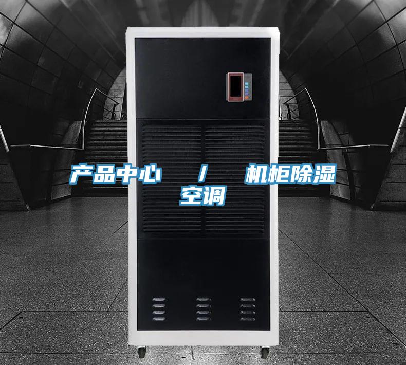 產(chǎn)品中心  ／  機柜除濕空調(diào)