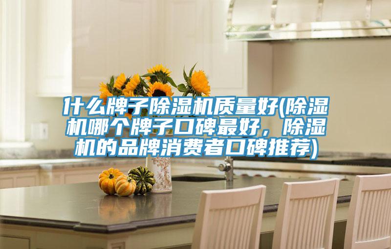什么牌子除濕機(jī)質(zhì)量好(除濕機(jī)哪個(gè)牌子口碑最好，除濕機(jī)的品牌消費(fèi)者口碑推薦)