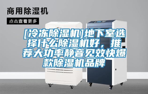 [冷凍除濕機]地下室選擇什么除濕機好，推薦大功率靜音見效快爆款除濕機品牌