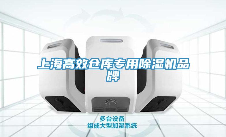 上海高效倉(cāng)庫(kù)專用除濕機(jī)品牌