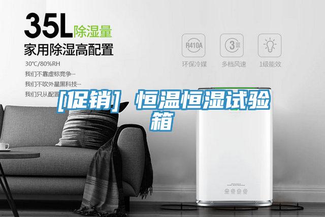 [促銷] 恒溫恒濕試驗(yàn)箱