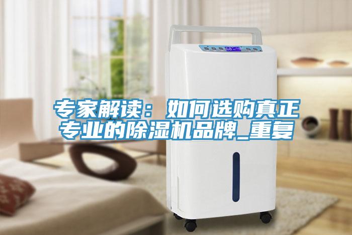 專家解讀：如何選購真正專業(yè)的除濕機(jī)品牌_重復(fù)