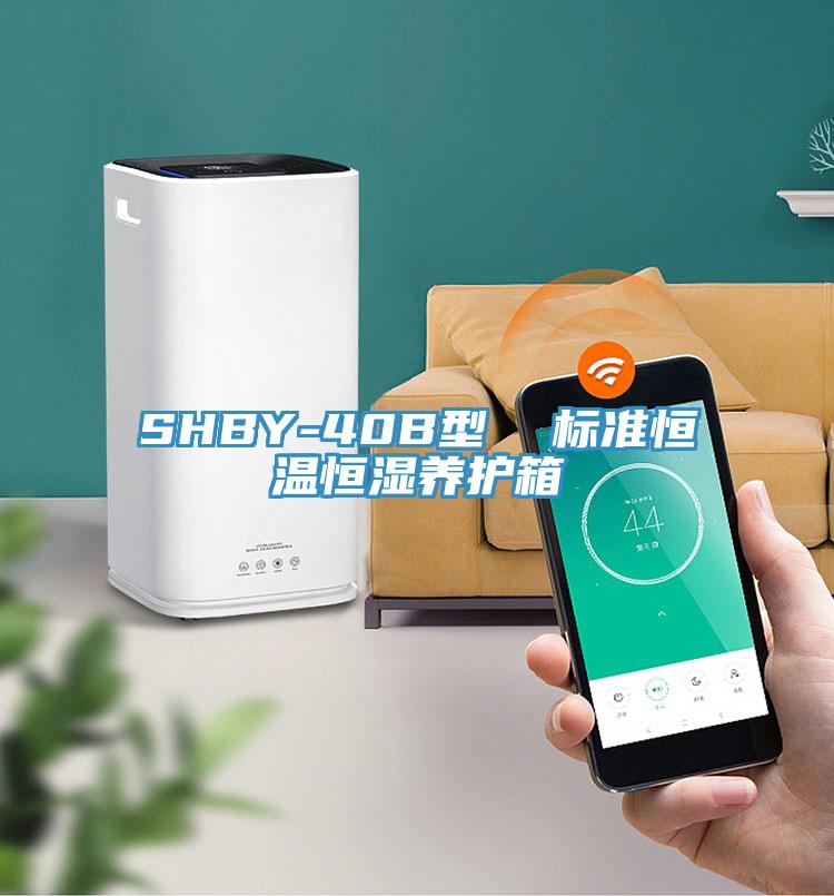 SHBY-40B型  標準恒溫恒濕養(yǎng)護箱