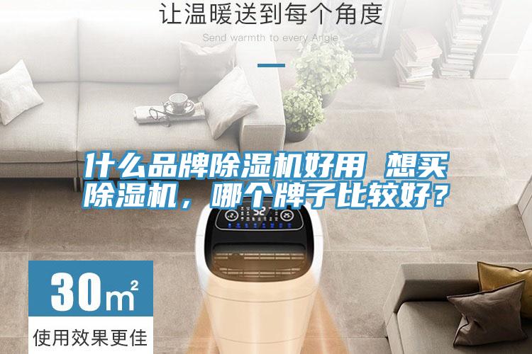 什么品牌除濕機好用 想買除濕機，哪個牌子比較好？