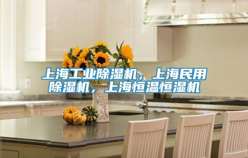 上海工業(yè)除濕機(jī)，上海民用除濕機(jī)，上海恒溫恒濕機(jī)
