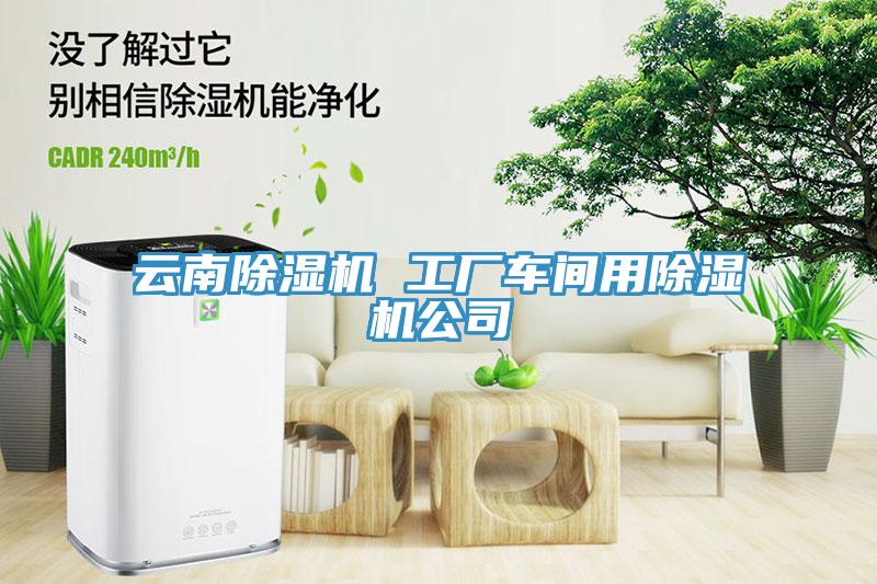 云南除濕機 工廠車間用除濕機公司