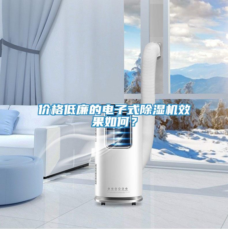 價格低廉的電子式除濕機效果如何？