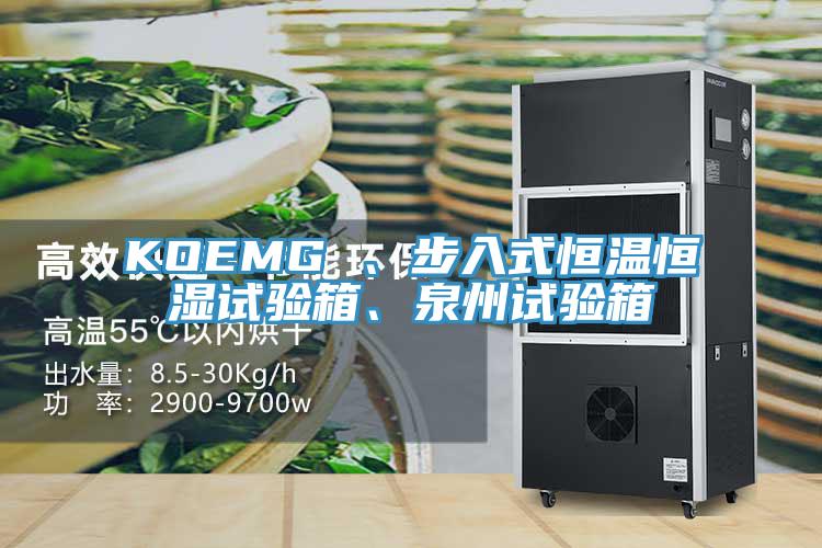 KOEMG 、步入式恒溫恒濕試驗(yàn)箱、泉州試驗(yàn)箱