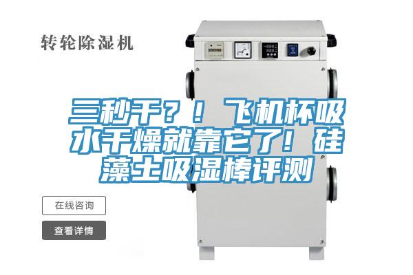 三秒干？! 飛機(jī)杯吸水干燥就靠它了! 硅藻土吸濕棒評(píng)測(cè)