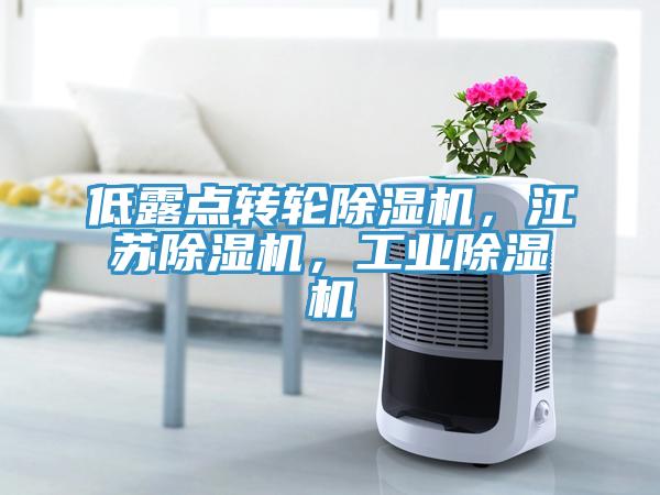 低露點(diǎn)轉(zhuǎn)輪除濕機(jī)，江蘇除濕機(jī)，工業(yè)除濕機(jī)